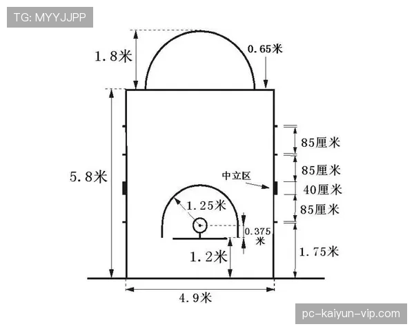 新手必看：篮球场上的“着地空间规则”到底保护了谁？